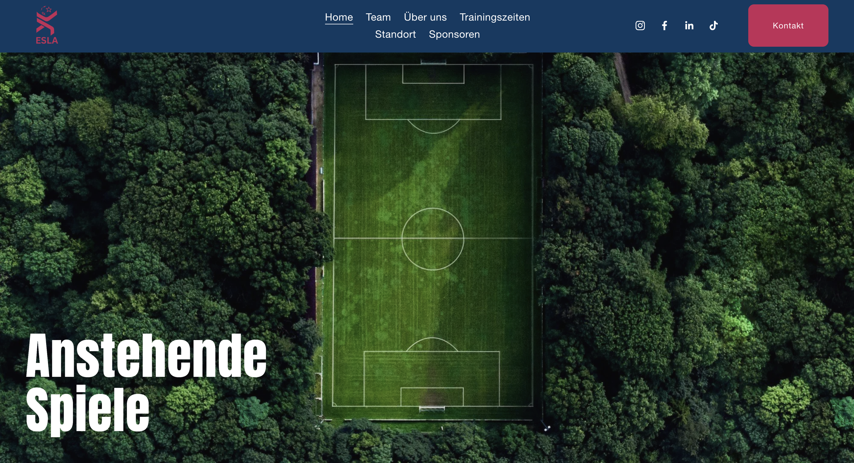 Website Vorschau: teamelitesoccer.ch