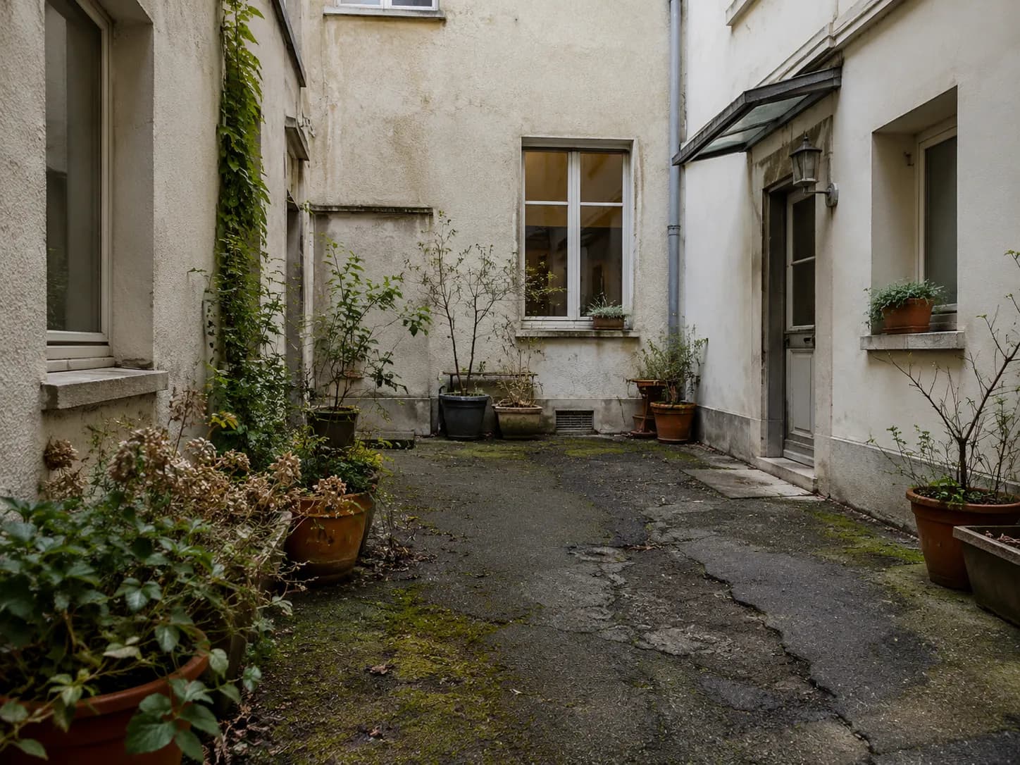 Ruhe im Schatten: der Garten vor dem Umbau