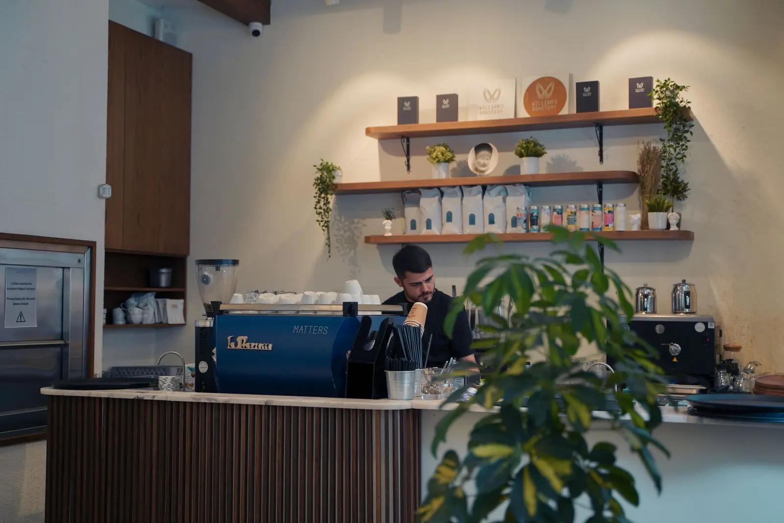 Barista an der Holztheke einer Kaffeebar, im Vordergrund eine Pflanze